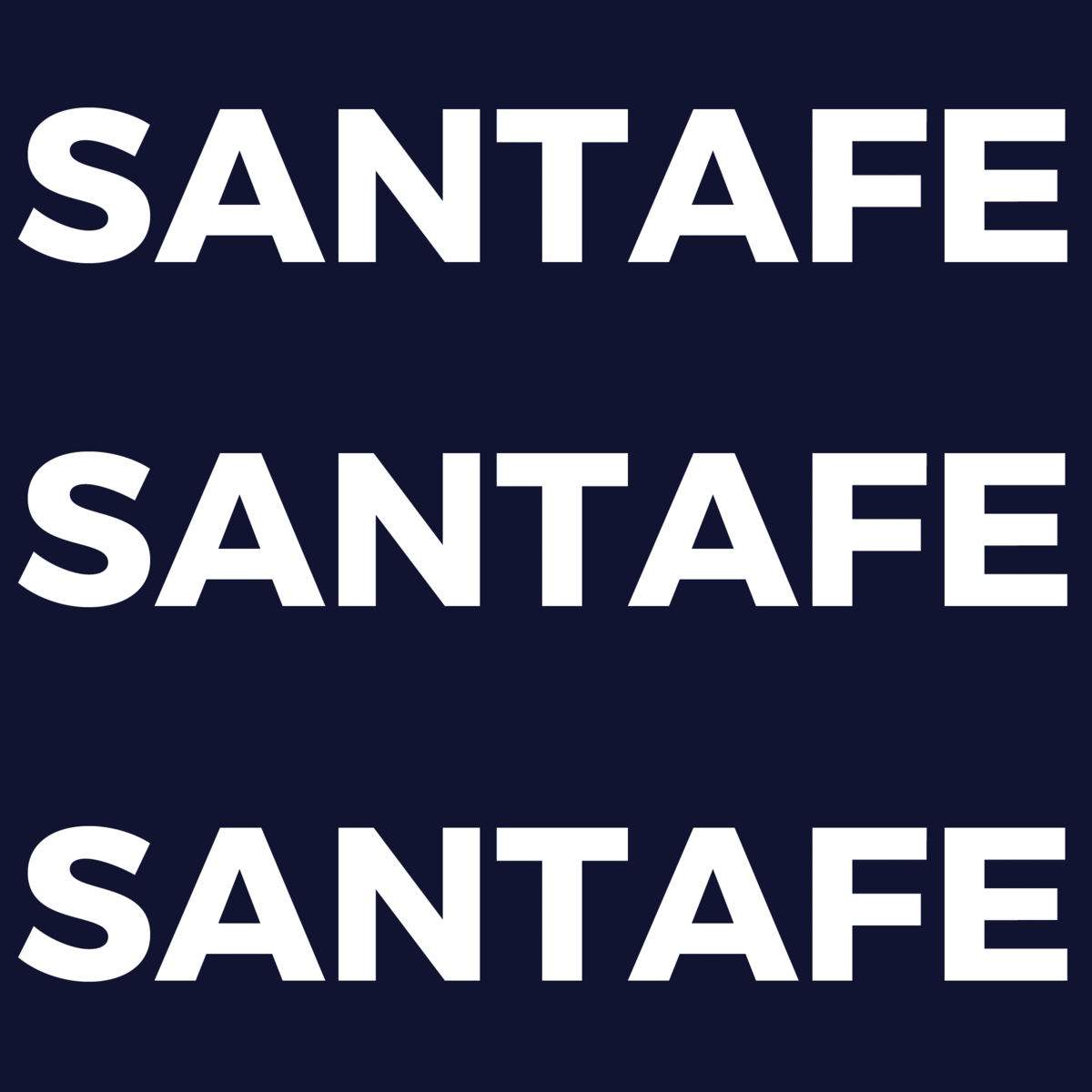 Hyundai Motors America - Santa Fe 'SAFE' Campaign